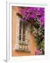 Window and Flower Pots, San Miguel De Allende, Guanajuato State, Mexico-Julie Eggers-Framed Photographic Print