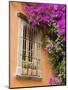 Window and Flower Pots, San Miguel De Allende, Guanajuato State, Mexico-Julie Eggers-Mounted Photographic Print