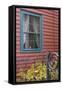 Window and Gate, Annapolis Royal, Nova Scotia, Canada-Natalie Tepper-Framed Stretched Canvas