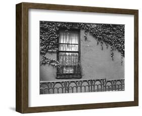 Window and Ivy, New York, 1945-Brett Weston-Framed Photographic Print