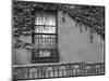 Window and Ivy, New York, 1945-Brett Weston-Mounted Photographic Print