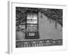 Window and Ivy, New York, 1945-Brett Weston-Framed Photographic Print