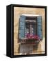 Window and Shutters, Venice, Veneto, Italy, Europe-Amanda Hall-Framed Stretched Canvas