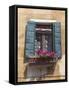 Window and Shutters, Venice, Veneto, Italy, Europe-Amanda Hall-Framed Stretched Canvas