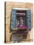 Window and Shutters, Venice, Veneto, Italy, Europe-Amanda Hall-Stretched Canvas