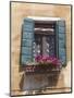 Window and Shutters, Venice, Veneto, Italy, Europe-Amanda Hall-Mounted Photographic Print