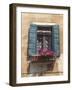 Window and Shutters, Venice, Veneto, Italy, Europe-Amanda Hall-Framed Photographic Print