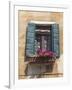 Window and Shutters, Venice, Veneto, Italy, Europe-Amanda Hall-Framed Photographic Print