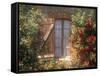 Window, Apt, Provence, France-Walter Bibikow-Framed Stretched Canvas