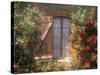 Window, Apt, Provence, France-Walter Bibikow-Stretched Canvas