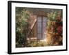 Window, Apt, Provence, France-Walter Bibikow-Framed Photographic Print