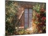Window, Apt, Provence, France-Walter Bibikow-Mounted Photographic Print