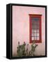 Window, Barrio Historico District, Tucson, Arizona, United States of America, North America-Richard Cummins-Framed Stretched Canvas