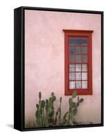 Window, Barrio Historico District, Tucson, Arizona, United States of America, North America-Richard Cummins-Framed Stretched Canvas