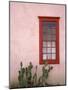 Window, Barrio Historico District, Tucson, Arizona, United States of America, North America-Richard Cummins-Mounted Photographic Print