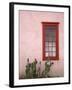 Window, Barrio Historico District, Tucson, Arizona, United States of America, North America-Richard Cummins-Framed Photographic Print