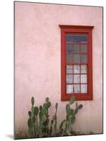 Window, Barrio Historico District, Tucson, Arizona, United States of America, North America-Richard Cummins-Mounted Photographic Print