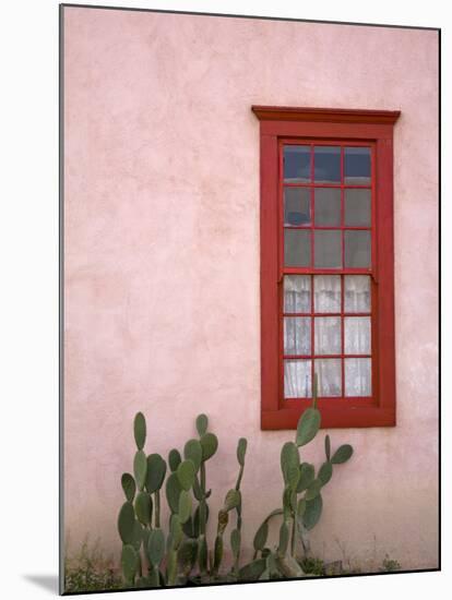 Window, Barrio Historico District, Tucson, Arizona, United States of America, North America-Richard Cummins-Mounted Photographic Print