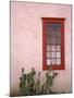 Window, Barrio Historico District, Tucson, Arizona, United States of America, North America-Richard Cummins-Mounted Photographic Print