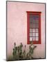 Window, Barrio Historico District, Tucson, Arizona, United States of America, North America-Richard Cummins-Mounted Photographic Print