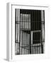 Window, Bars, Mexico, c. 1965-Brett Weston-Framed Photographic Print