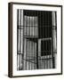 Window, Bars, Mexico, c. 1965-Brett Weston-Framed Photographic Print