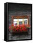 Window Box with Flowers, Zermatt, Switzerland-Lisa S^ Engelbrecht-Framed Stretched Canvas