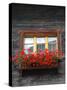 Window Box with Flowers, Zermatt, Switzerland-Lisa S^ Engelbrecht-Stretched Canvas
