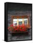 Window Box with Flowers, Zermatt, Switzerland-Lisa S^ Engelbrecht-Framed Stretched Canvas