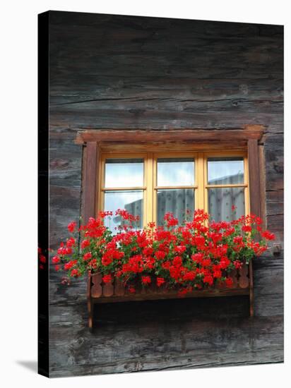 Window Box with Flowers, Zermatt, Switzerland-Lisa S^ Engelbrecht-Stretched Canvas