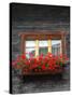 Window Box with Flowers, Zermatt, Switzerland-Lisa S^ Engelbrecht-Stretched Canvas