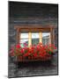 Window Box with Flowers, Zermatt, Switzerland-Lisa S^ Engelbrecht-Mounted Photographic Print