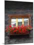 Window Box with Flowers, Zermatt, Switzerland-Lisa S^ Engelbrecht-Mounted Photographic Print
