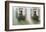 Window Boxes-Zhen-Huan Lu-Framed Giclee Print