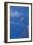 Window Cleaner, 1990-Lincoln Seligman-Framed Giclee Print