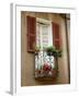 Window Detail, Lake Orta, Orta, Italy-Lisa S. Engelbrecht-Framed Photographic Print