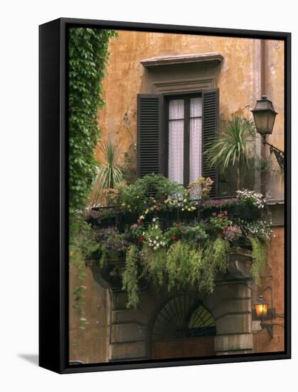 Window Display Near Piazza Navona, Rome, Lazio, Italy, Europe-null-Framed Stretched Canvas