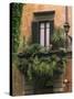 Window Display Near Piazza Navona, Rome, Lazio, Italy, Europe-null-Stretched Canvas