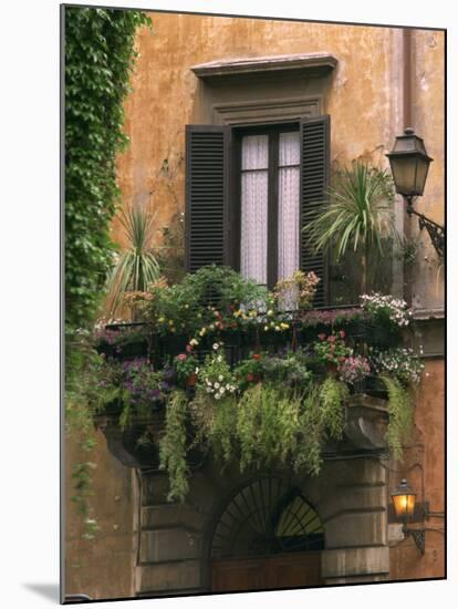 Window Display Near Piazza Navona, Rome, Lazio, Italy, Europe-null-Mounted Photographic Print