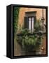 Window Display Near Piazza Navona, Rome, Lazio, Italy, Europe-null-Framed Stretched Canvas