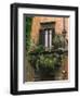 Window Display Near Piazza Navona, Rome, Lazio, Italy, Europe-null-Framed Photographic Print