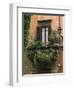 Window Display Near Piazza Navona, Rome, Lazio, Italy, Europe-null-Framed Photographic Print