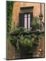 Window Display Near Piazza Navona, Rome, Lazio, Italy, Europe-null-Mounted Photographic Print