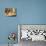 Window Display of Traditional Torrone, Cakes and Pastries, Taormina, Sicily, Italy, Europe-Martin Child-Photographic Print displayed on a wall