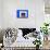 Window Display with Football Cups in a House of the Village Ilulissat, Greenland-Françoise Gaujour-Photographic Print displayed on a wall