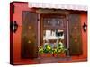 Window Flower Pots and Shutters, Alsace, France-Tom Haseltine-Stretched Canvas