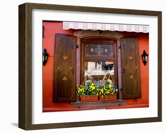 Window Flower Pots and Shutters, Alsace, France-Tom Haseltine-Framed Premium Photographic Print