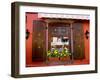 Window Flower Pots and Shutters, Alsace, France-Tom Haseltine-Framed Premium Photographic Print