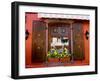 Window Flower Pots and Shutters, Alsace, France-Tom Haseltine-Framed Premium Photographic Print