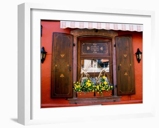 Window Flower Pots and Shutters, Alsace, France-Tom Haseltine-Framed Premium Photographic Print